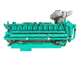 Electronic fuel injection diesel engine Electronic fuel injection diesel engine